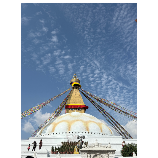 加德滿都滿願塔 Boudha Stupa