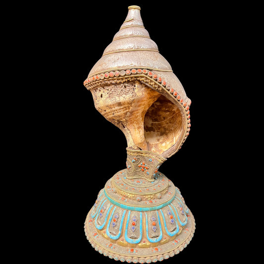Right-turning Dharma Conch 右旋法螺